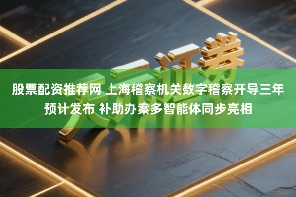 股票配资推荐网 上海稽察机关数字稽察开导三年预计发布 补助办案多智能体同步亮相