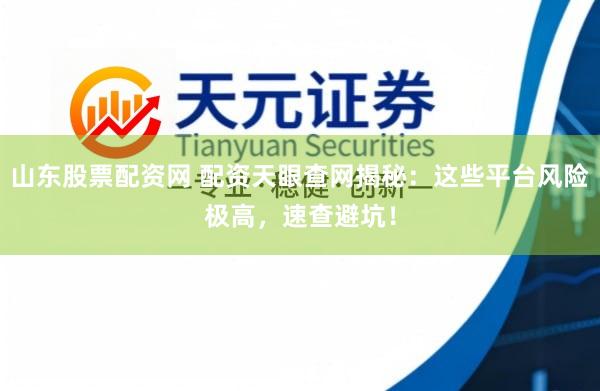 山东股票配资网 配资天眼查网揭秘：这些平台风险极高，速查避坑！