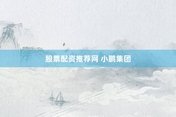 股票配资推荐网 小鹏集团