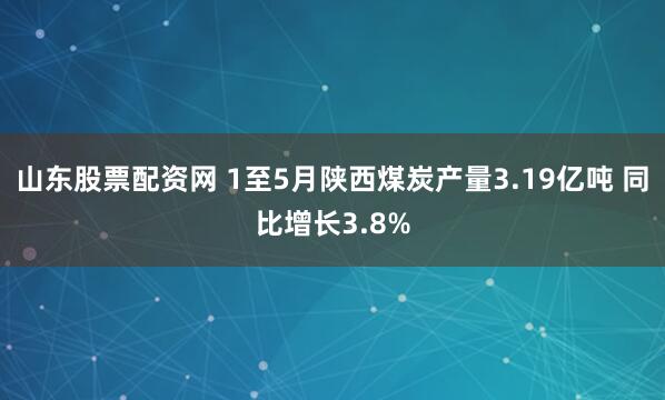 山东股票配资网 1至5月陕西煤炭产量3.19亿吨 同比增长3.8%